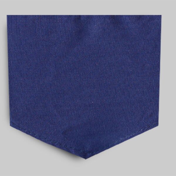 Douglas Medium Bandana Thumbnail